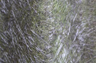 Eilanreach fibreglass roof work